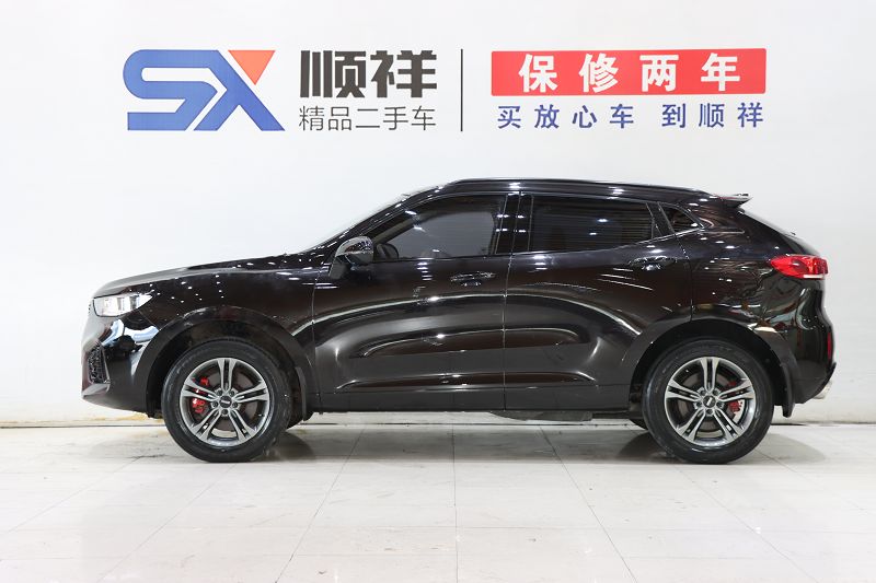 魏牌 VV5 2019款 1.5T 两驱颜先锋