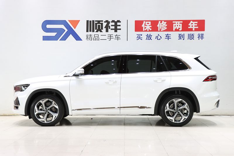 吉利汽车 星越L 2024款 2.0TD DCT EVO两驱尊贵型