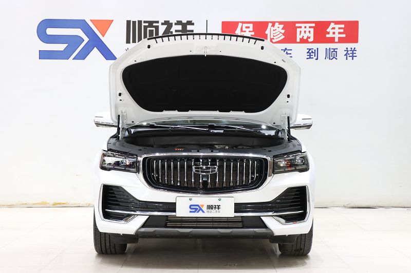 吉利汽车 星越L 2024款 2.0TD DCT EVO两驱尊贵型