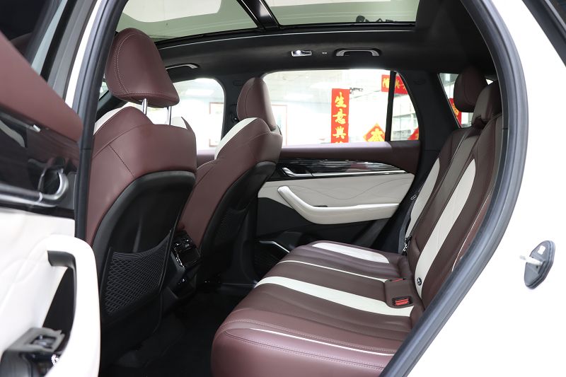 吉利汽车 星越L 2024款 2.0TD DCT EVO两驱尊贵型