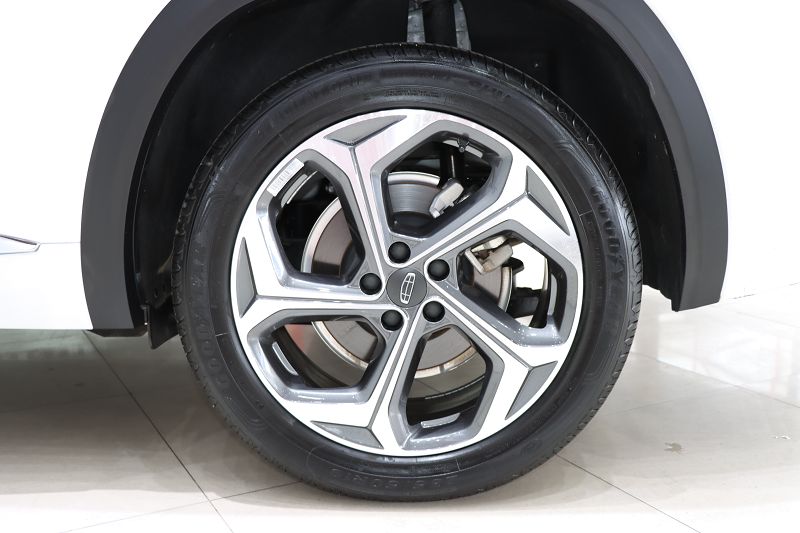 吉利汽车 星越L 2024款 2.0TD DCT EVO两驱尊贵型