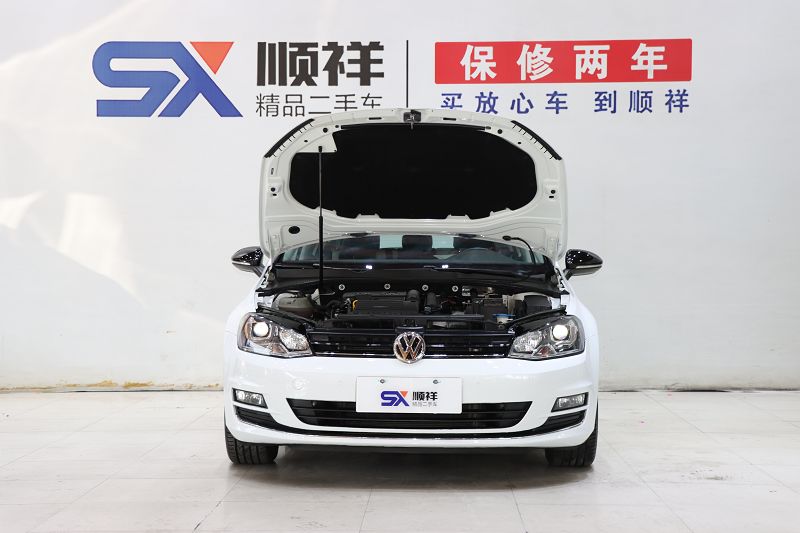 大众 高尔夫 2017款 230TSI 自动豪华百万辆纪念版