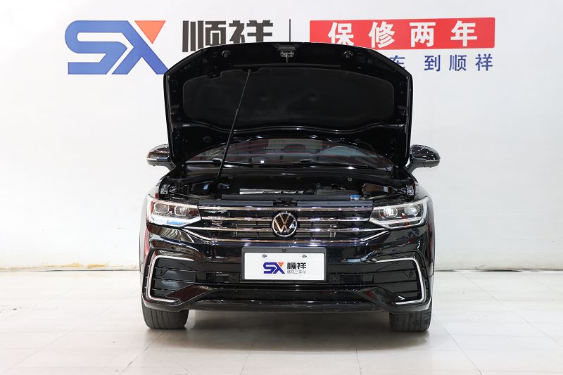 大众 途观X 2021款 330TSI 两驱旗舰版