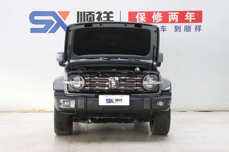 坦克300 2021款 城市版 2.0T 很有型