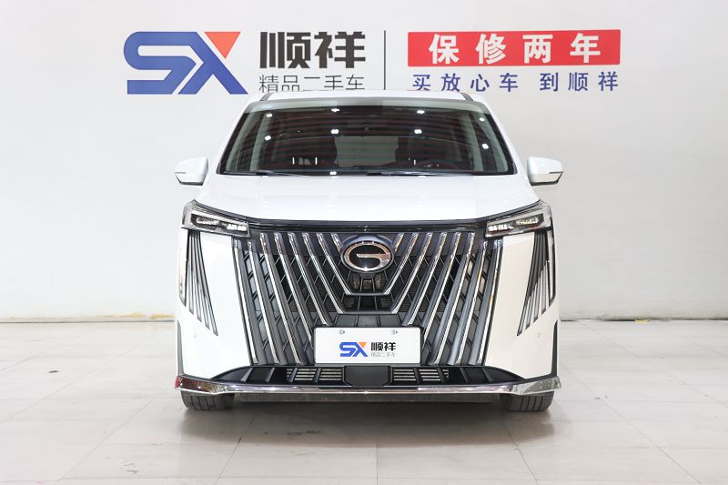 广汽传祺 传祺M8 2024款 大师系列 400T 尊贵版
