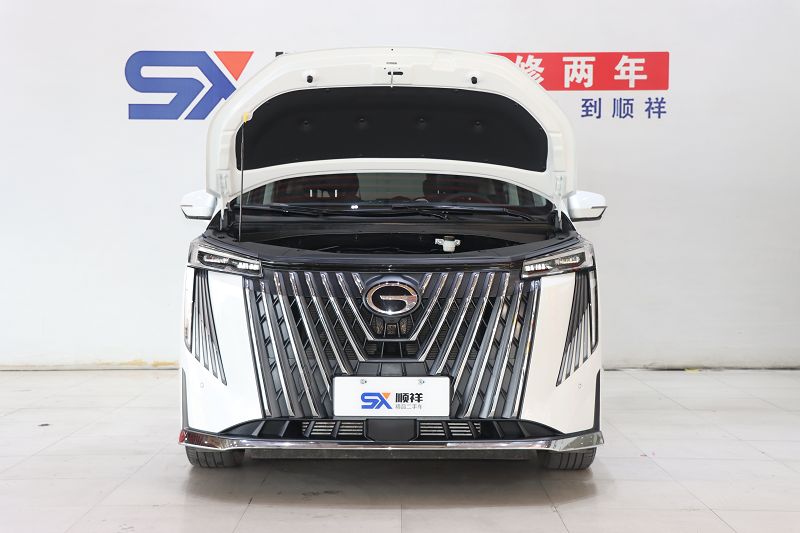 广汽传祺 传祺M8 2024款 大师系列 400T 尊贵版