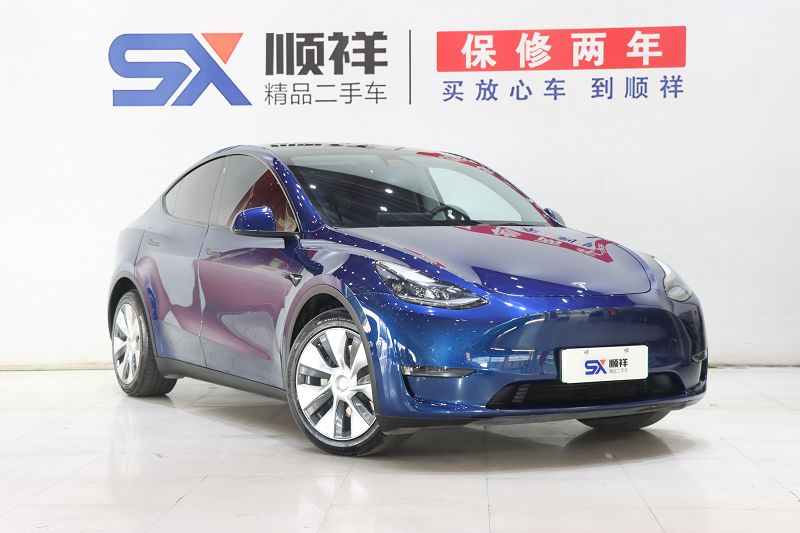 特斯拉Model Y 2021款 长续航全轮驱动版