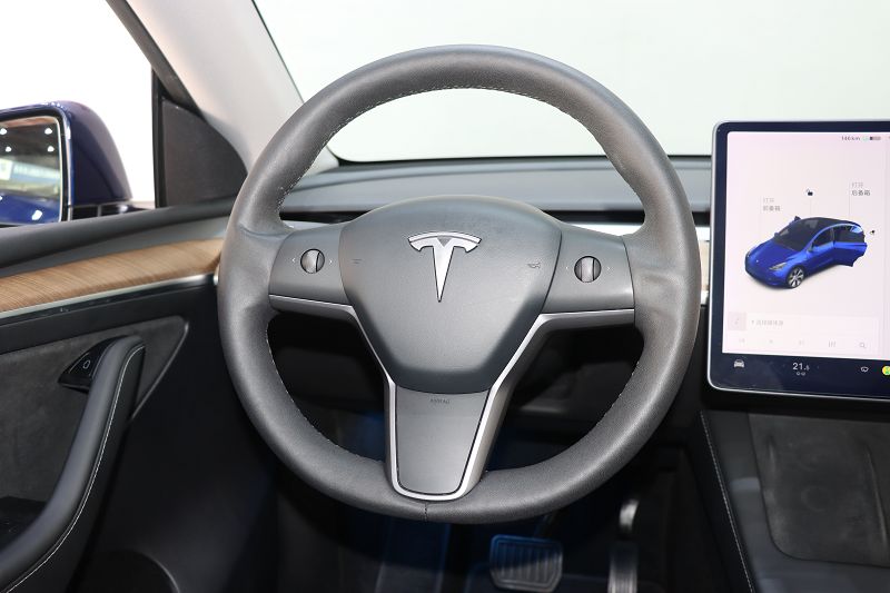 特斯拉Model Y 2021款 长续航全轮驱动版