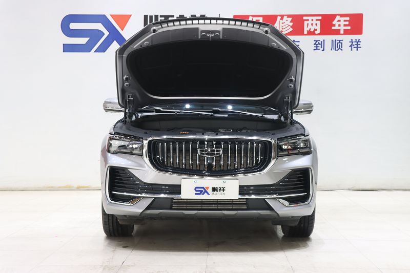 吉利汽车 星越L 2024款 2.0TD 高功自动两驱天际版