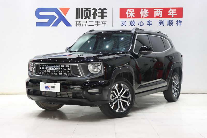 哈弗二代大狗 2023款 1.5T 两驱潮野版Plus