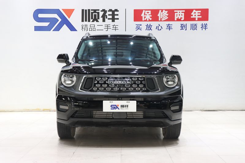 哈弗二代大狗 2023款 1.5T 两驱潮野版Plus