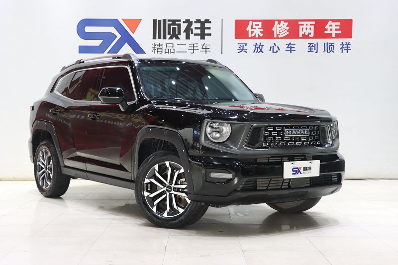 哈弗二代大狗 2023款 1.5T 两驱潮野版Plus