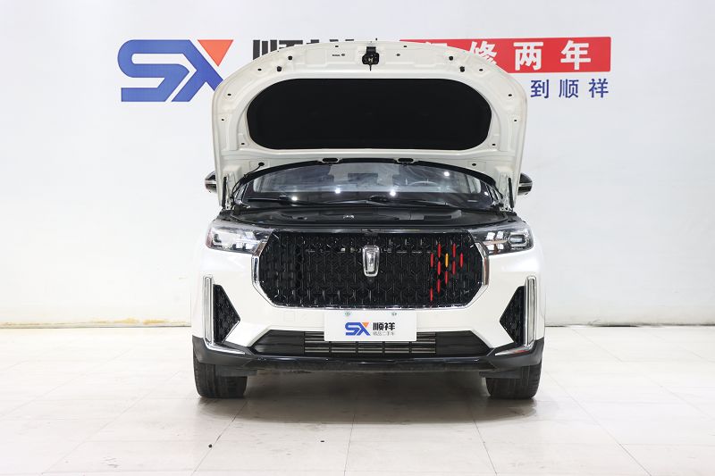 奔腾T99 2020款 20TD 自动运动尊享型 国VI