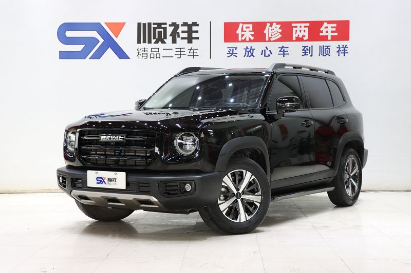 哈弗大狗 2022款 1.5T DCT两驱拉布拉多版