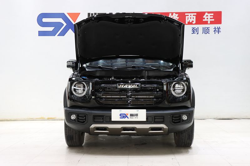 哈弗大狗 2022款 1.5T DCT两驱拉布拉多版