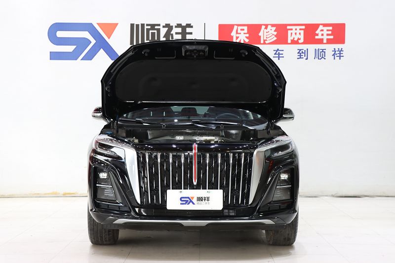 红旗HS3 2023款 1.5T 两驱善为版