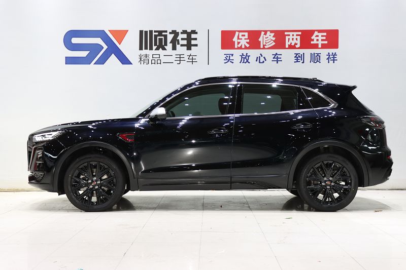 红旗HS5 2025款 2.0T 玄影版