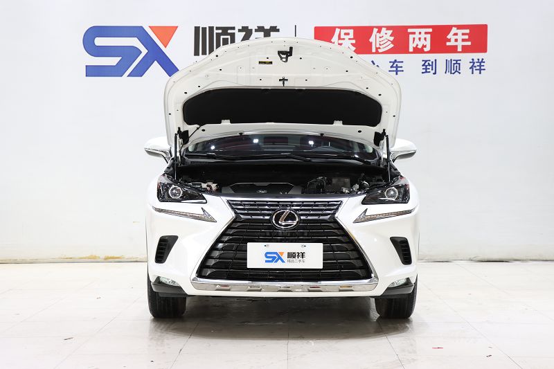 雷克萨斯NX 2020款 200 前驱 锋行版 国VI