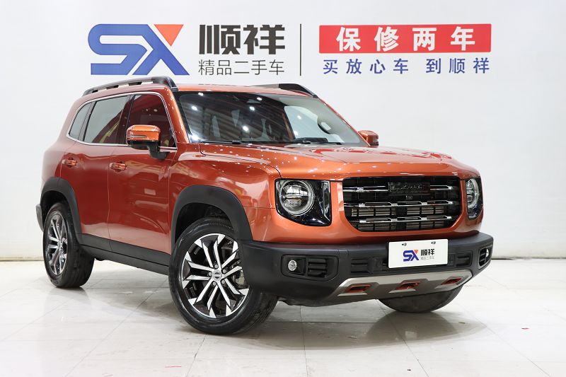 哈弗大狗 2021款 1.5T DCT两驱边牧版 国VI