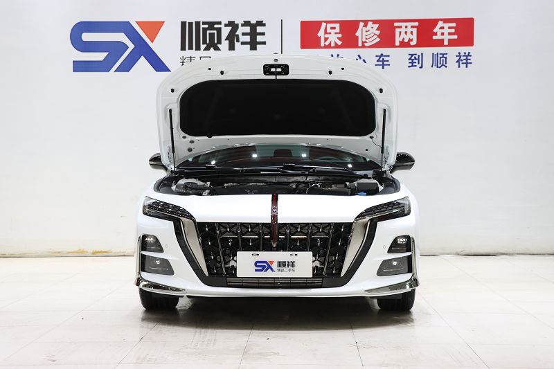 红旗H6 2024款 2.0T 致美版