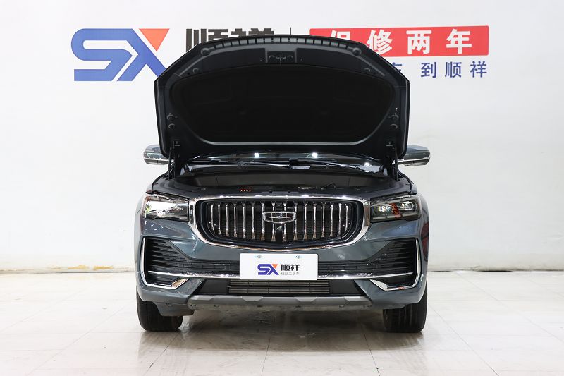 吉利汽车 星越L 2024款 2.0TD DCT EVO两驱尊贵型